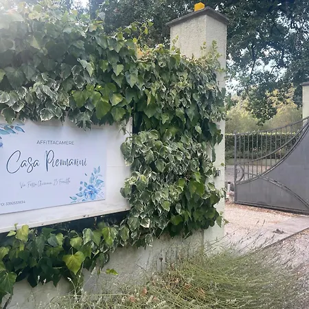 Casa Piermarini Maison d'hôtes Ferentillo